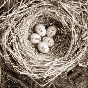 Meet your Posher, Birdies